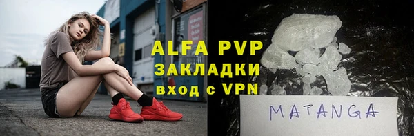 сатива Каменка