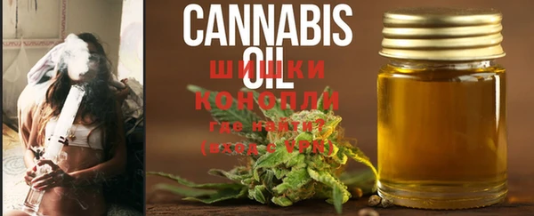 сатива Каменка