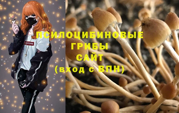 прущий лед Касимов