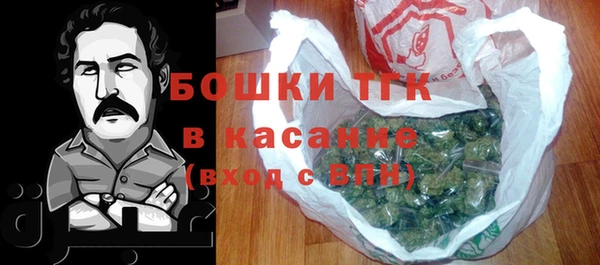 прущий лед Касимов