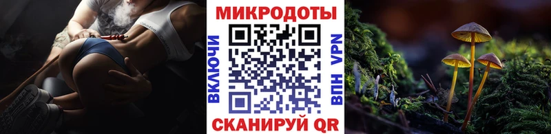 Псилоцибиновые грибы Psilocybine cubensis  Кораблино 